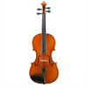 110 Angel Taylor Beginner Violin Outfit with Bow and Case