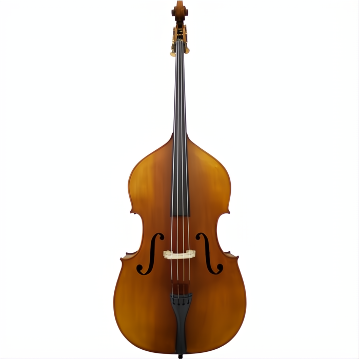 130 Maple Leaf Strings Intermediate Bass with Bag