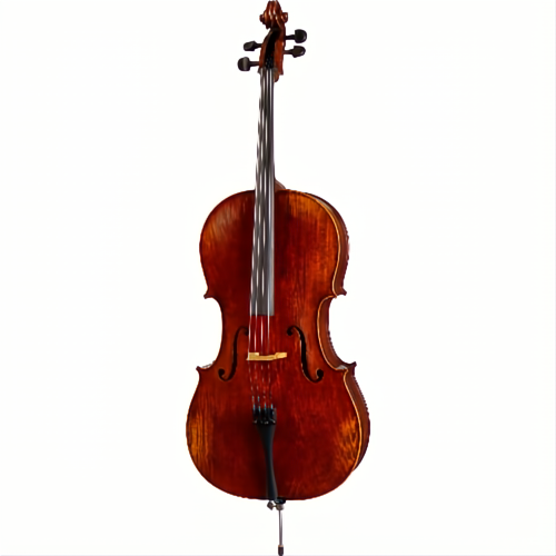 132 Semmlinger Professional Cello with Bag