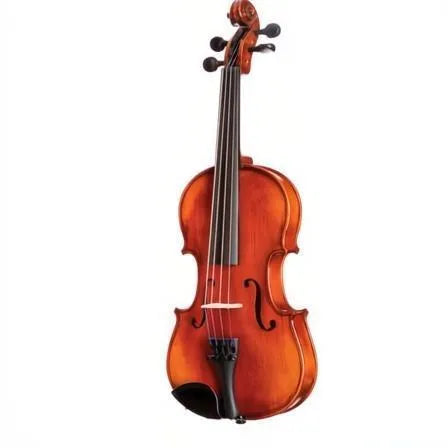 A11 Core Academy Beginner Violin Outfit with Bow and Case