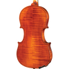 A14 Core Academy Intermediate Violin Outfit with Bow and Case