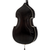 A40 Core Academy Beginner/Intermediate Bass Outfit with Bow and Bag-Bass-String Power