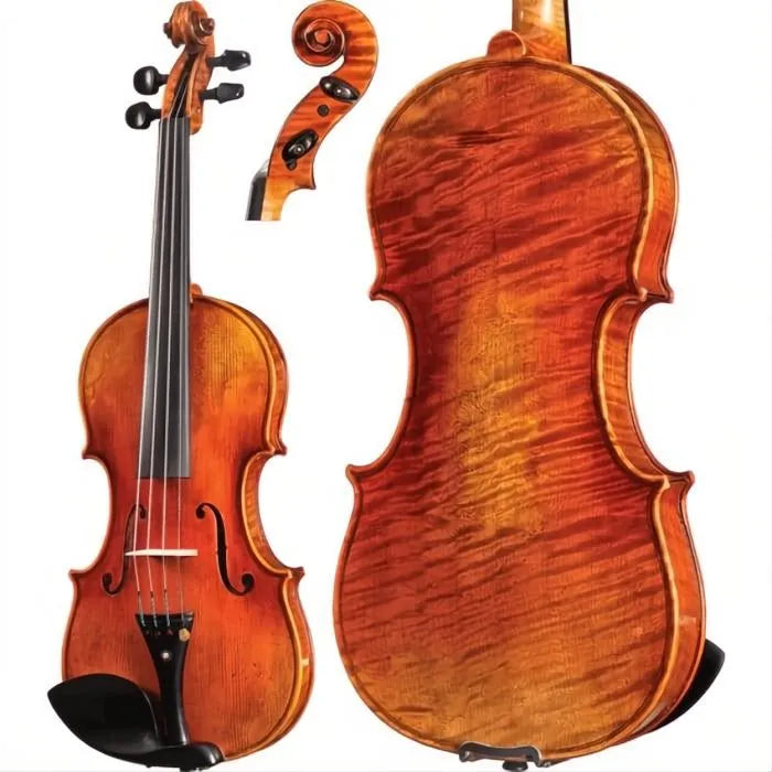 Amati Core Select Advanced Violin with Case