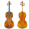 Antonio Fiorini Century Strings Professional Violin with Case