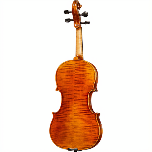 Bieg W Guarneri Model Professional Violin with Case