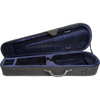 Bieg W Guarneri Model Professional Violin with Case