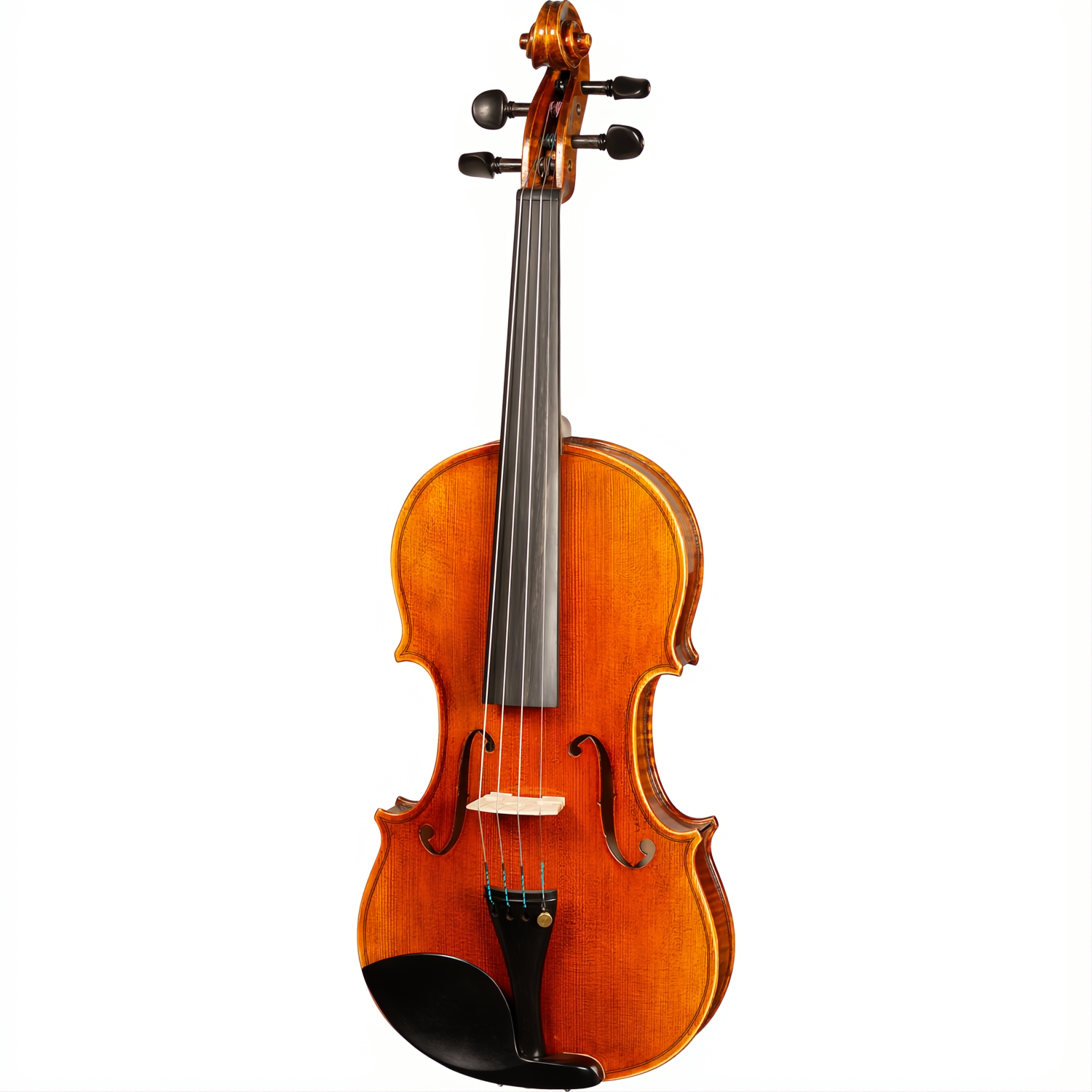Bieg W Guarneri Model Professional Violin with Case