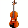 Bieg W Guarneri Model Professional Violin with Case
