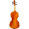 Bieg WSP Guarneri Model Professional Violin with Case