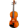 Bieg WSP Guarneri Model Professional Violin with Case