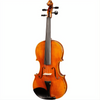 Bieg WSP Guarneri Model Professional Violin with Case