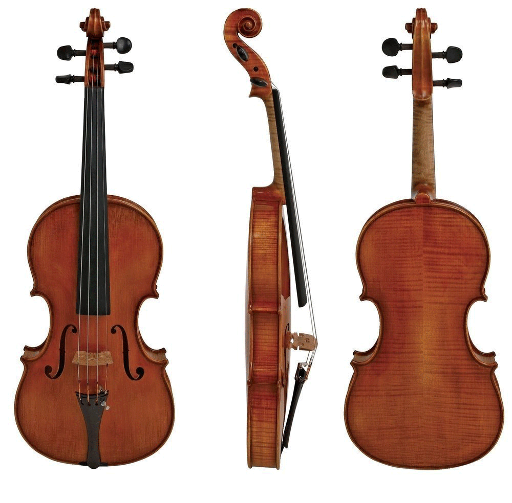 Boehme Gewa Professional Violin with Case String Power - Violin Shop