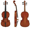 Boehme Gewa Professional Violin with Case String Power - Violin Shop