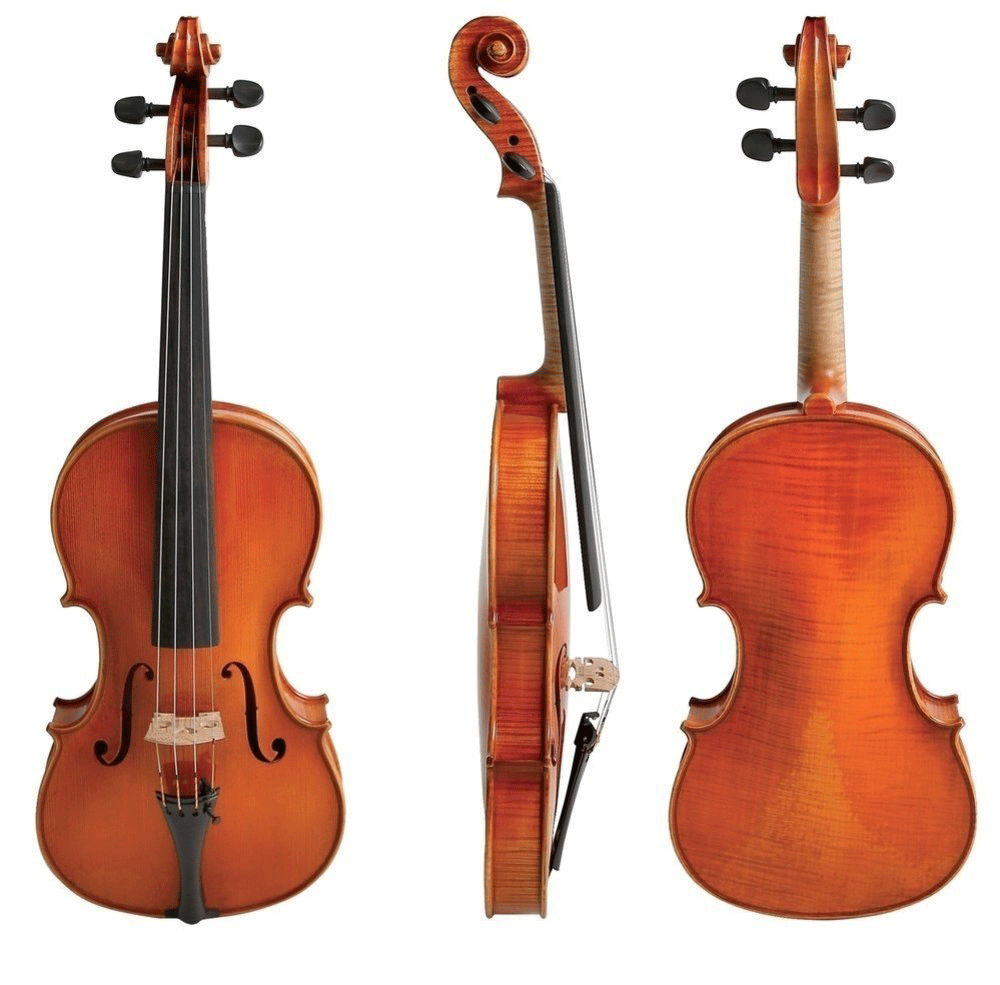 Boehme Gewa Professional Violin with Case String Power - Violin Shop