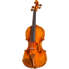 CS5500 Core Select Professional Violin with Case-Violin-String Power