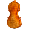 CS5500 Core Select Professional Violin with Case-Violin-String Power