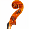 CS5500 Core Select Professional Violin with Case-Violin-String Power