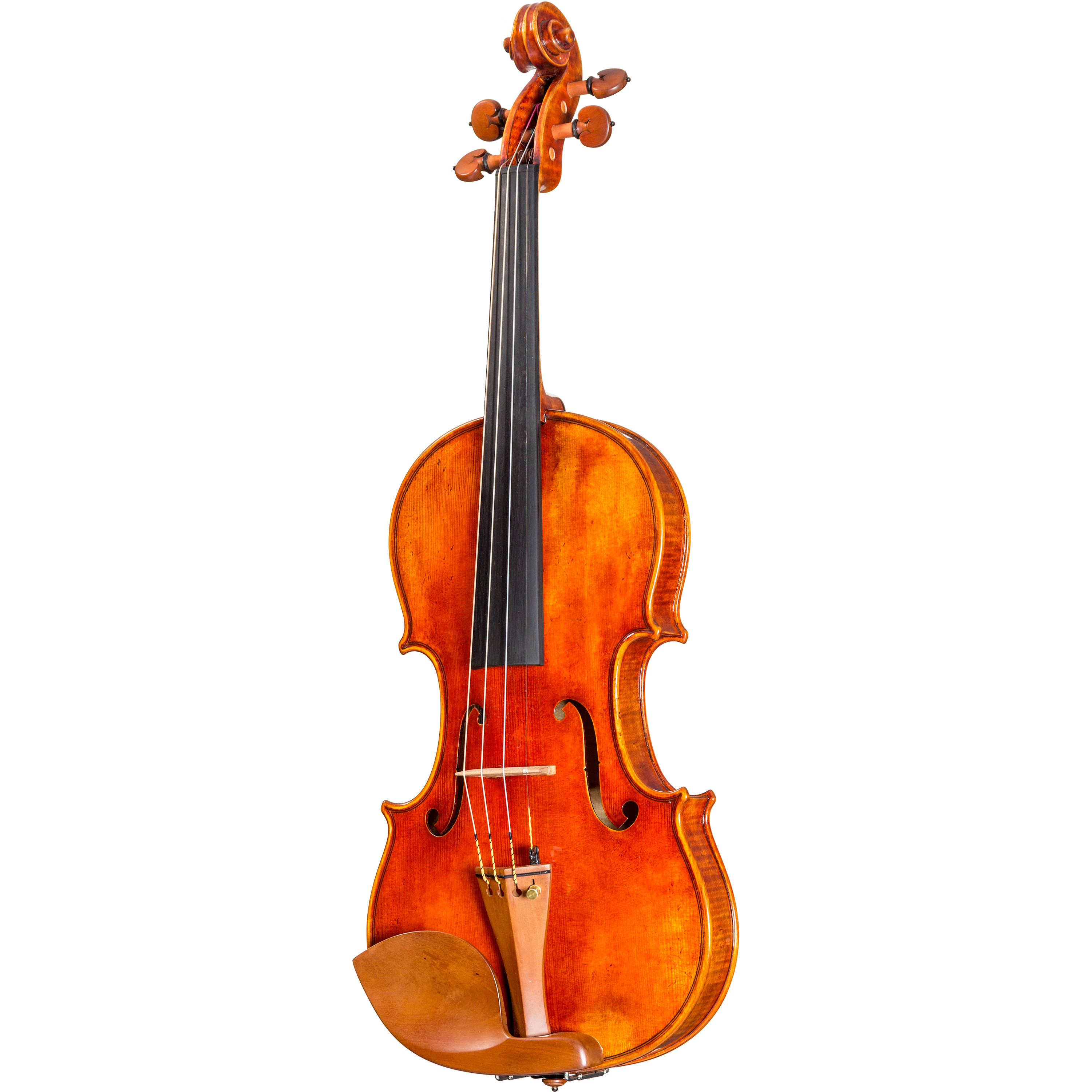 CS5500 Core Select Professional Violin with Case-Violin-String Power