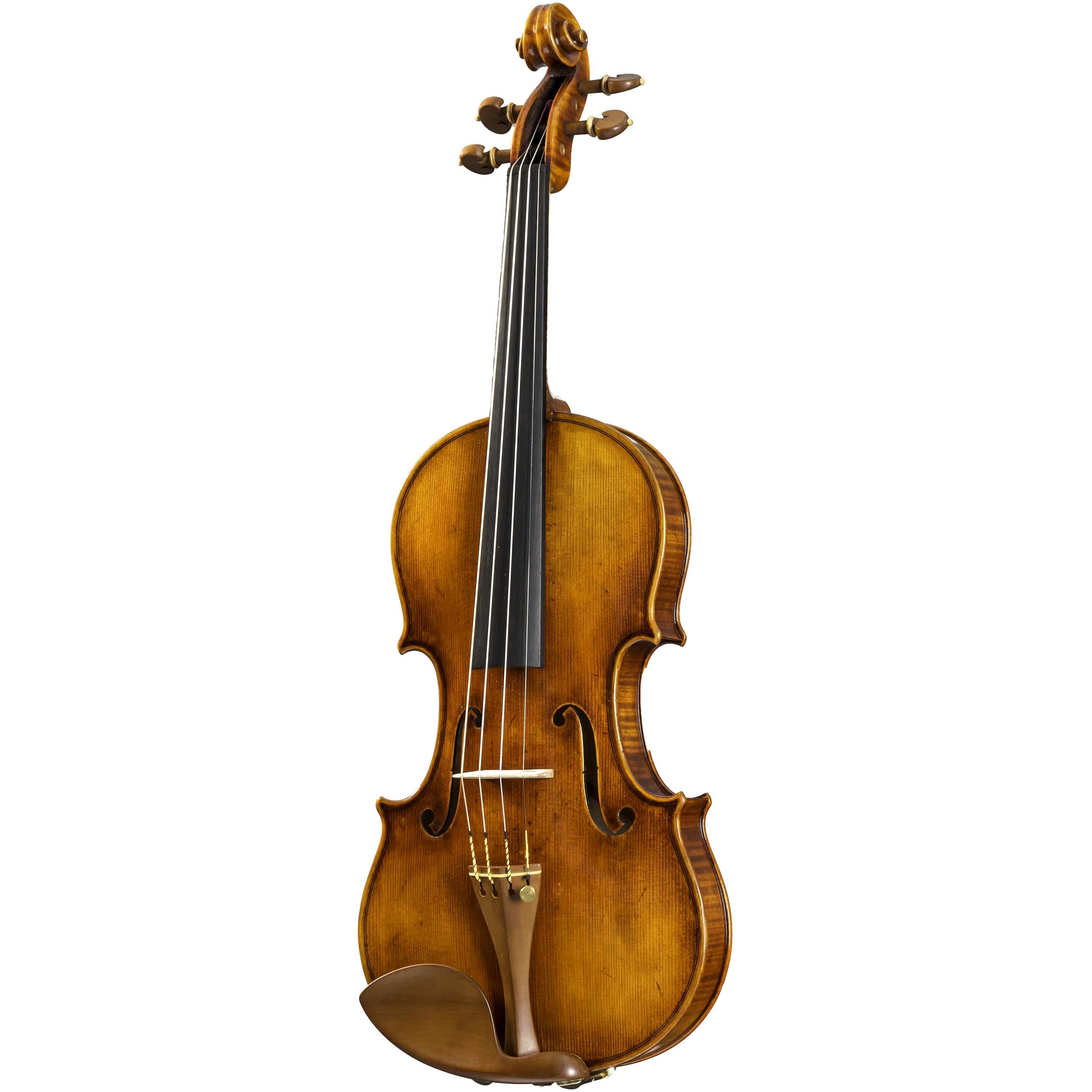 CS5900 Core Select Professional Violin with Case-Violin-String Power