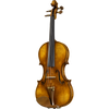CS5900 Core Select Professional Violin with Case-Violin-String Power