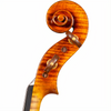 CS5900 Core Select Professional Violin with Case-Violin-String Power