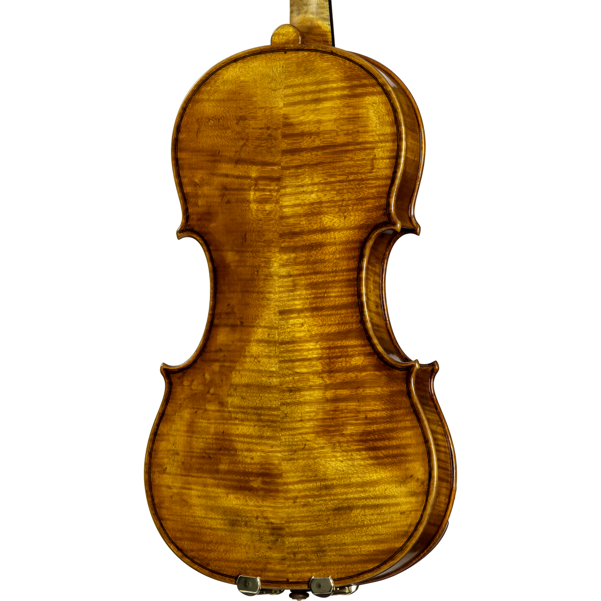 CS5900 Core Select Professional Violin with Case-Violin-String Power