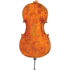 DR20 Dragon Howard Core Advanced, Cello with Bag-String Power