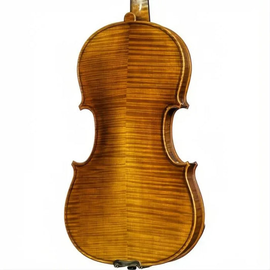 Delange Aubert Lutherie Professional Violin with Case