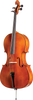 HOF4-5 Hoefner Professional Cello with Bag String Power