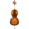 J350 Juzek Beginner Cello Outfit with Bow and Bag