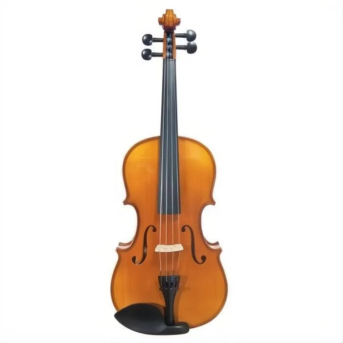 JJ202 Juzek Beginner Viola Outfit with Bow and Case