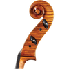 Maggini Core Select Advanced Cello with Bag-Cellos-String Power