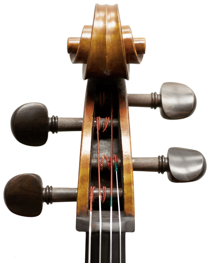 Master Lucienne Maple Leaf Strings Professional Cello with Bag String Power - Violin Store