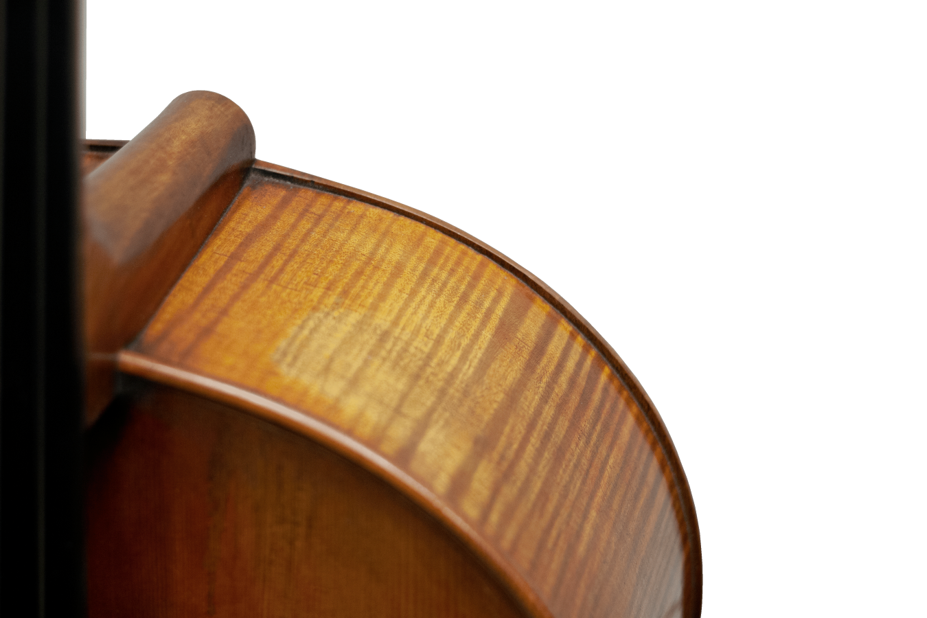 Master Lucienne Maple Leaf Strings Professional Cello with Bag String Power - Violin Store