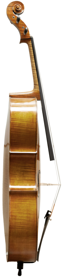 Master Lucienne Maple Leaf Strings Professional Cello with Bag String Power - Violin Store