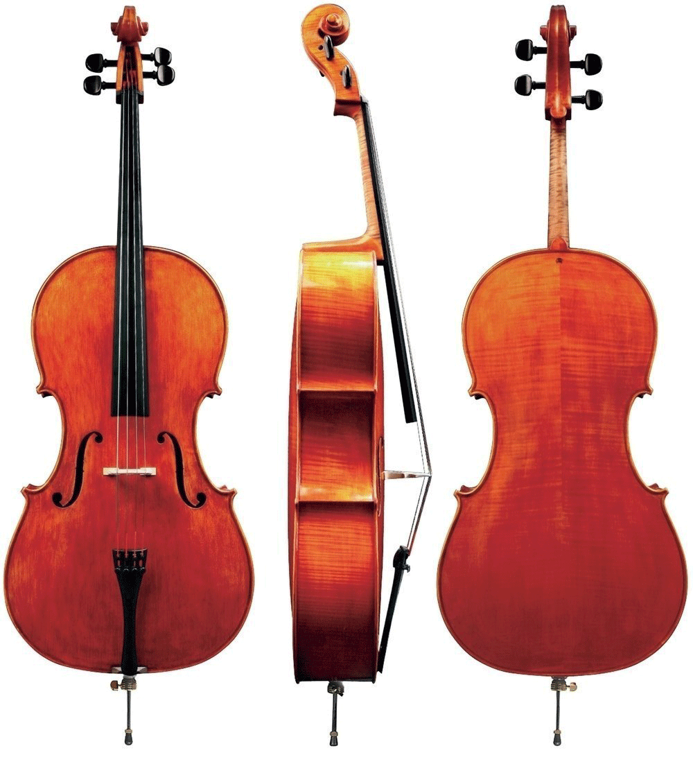 Montaganana Gewa Professinoal Cello with Bag String Power - Violin Shop