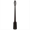 NS Design NXTA 4 or 5 Strings Electric Omni Bass