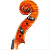 SM20 Symphony Core Advanced Viola with Case