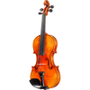 Soil Core Select Advanced Violin with Case
