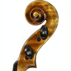Soil Core Select Advanced Violin with Case