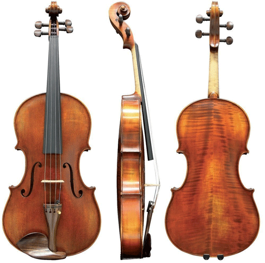Thomas Boehme Gewa Professional Viola with Case String Power - Violin Shop