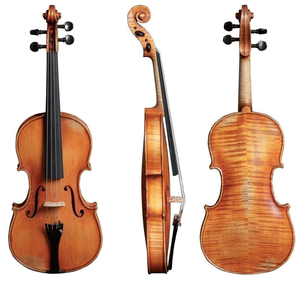 Walther 11 Gewa Advanced Violin with Case String Power - Violin Shop