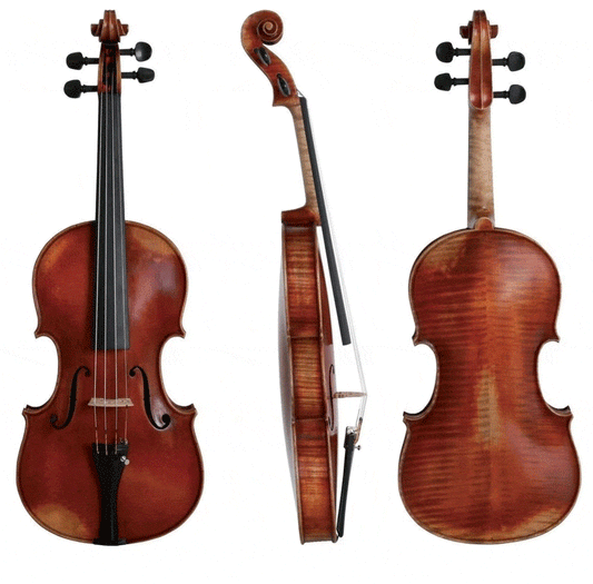 Walther 11 Gewa Advanced Violin with Case String Power - Violin Shop