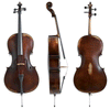 Walther 11 Gewa Professional Cello with Bag