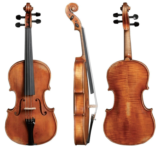 Walther 11 Gewa Professional Viola with Case