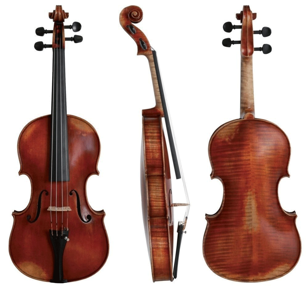Walther 11 Gewa Professional Viola with Case String Power - Violin Shop