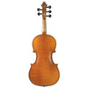 108 Juzek Intermediate Violin 5-Strings with Case String Power