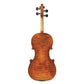 170 Juzek Professional Violin with Case String Power