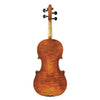 170 Juzek Professional Violin with Case String Power