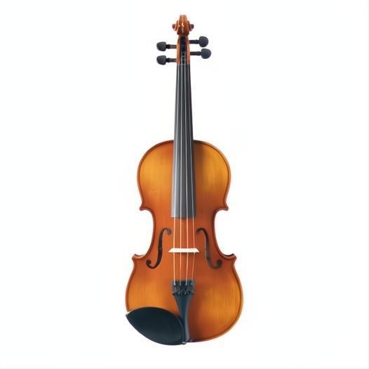 28A ARS Akord Kvint Intermediate Violin with Case